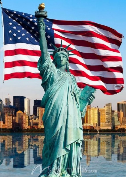 USA My Country My People